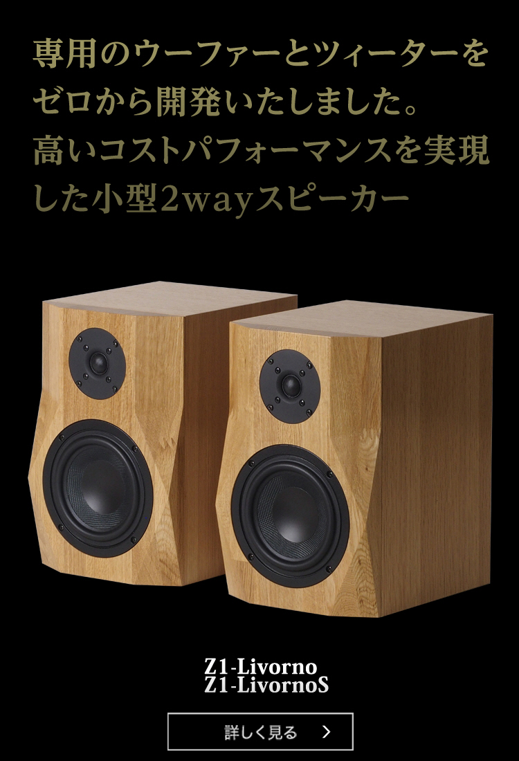 まずまずの美品】自作スピーカー メーカー・型番不明 DIY AUDIO SA